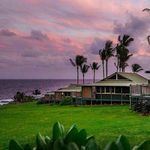 The image shows a row of cottages with palm trees and a beautiful sunset sky in the background, overlooking the ocean and surrounded by green grass.