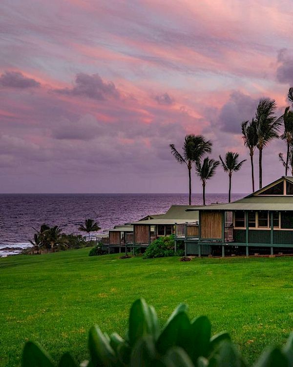 The image shows a row of cottages with palm trees and a beautiful sunset sky in the background, overlooking the ocean and surrounded by green grass.