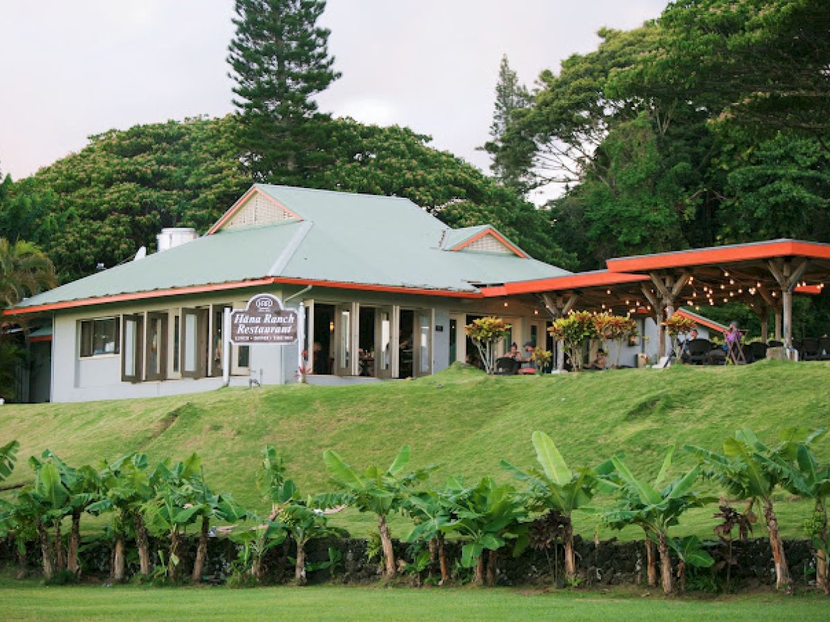 A cozy restaurant with outdoor seating, surrounded by lush greenery and small banana plants, sits atop a grassy hill.
