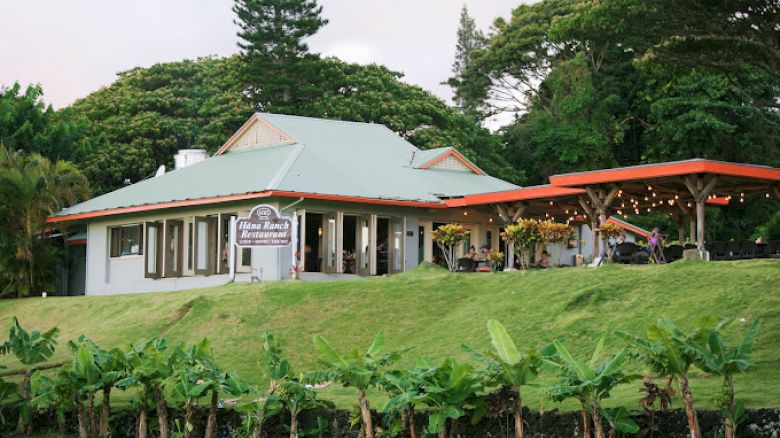 A cozy restaurant with outdoor seating, surrounded by lush greenery and small banana plants, sits atop a grassy hill.