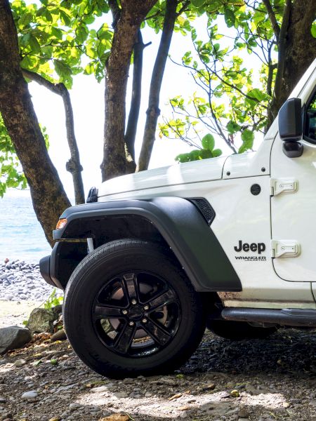 A white Jeep parked under trees by a rocky shoreline with the sea visible in the background.