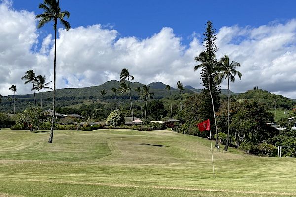 A scenic golf course featuring green fairways, a red flag on the putting green, palm trees, houses, and mountains in the background under a blue sky.