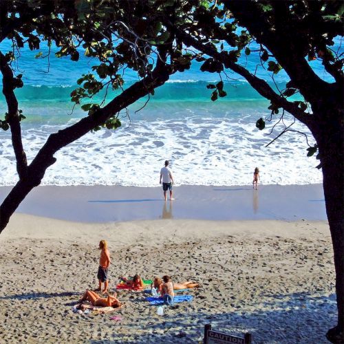 A beach scene with people enjoying the shoreline; some are lounging on the sand, and others are in the water, framed by tree branches.