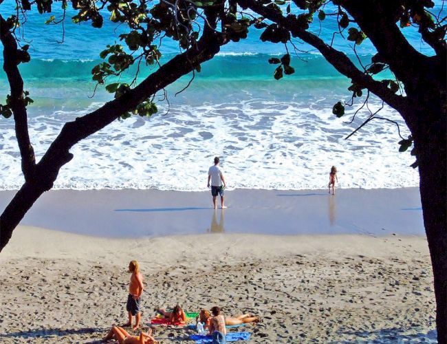 A beach scene with people enjoying the shoreline; some are lounging on the sand, and others are in the water, framed by tree branches.