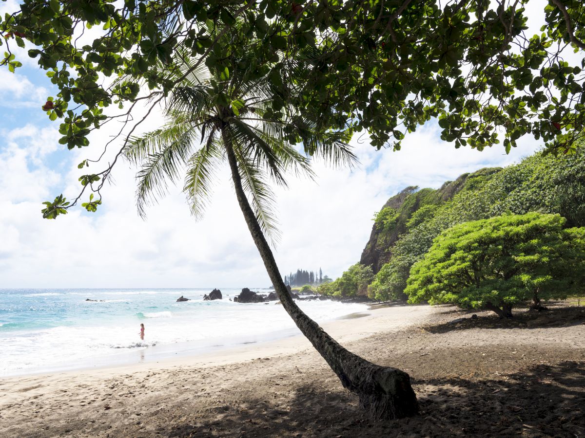 A serene beach with a lone palm tree, lush greenery, and a person walking by the shore under the partly cloudy sky.