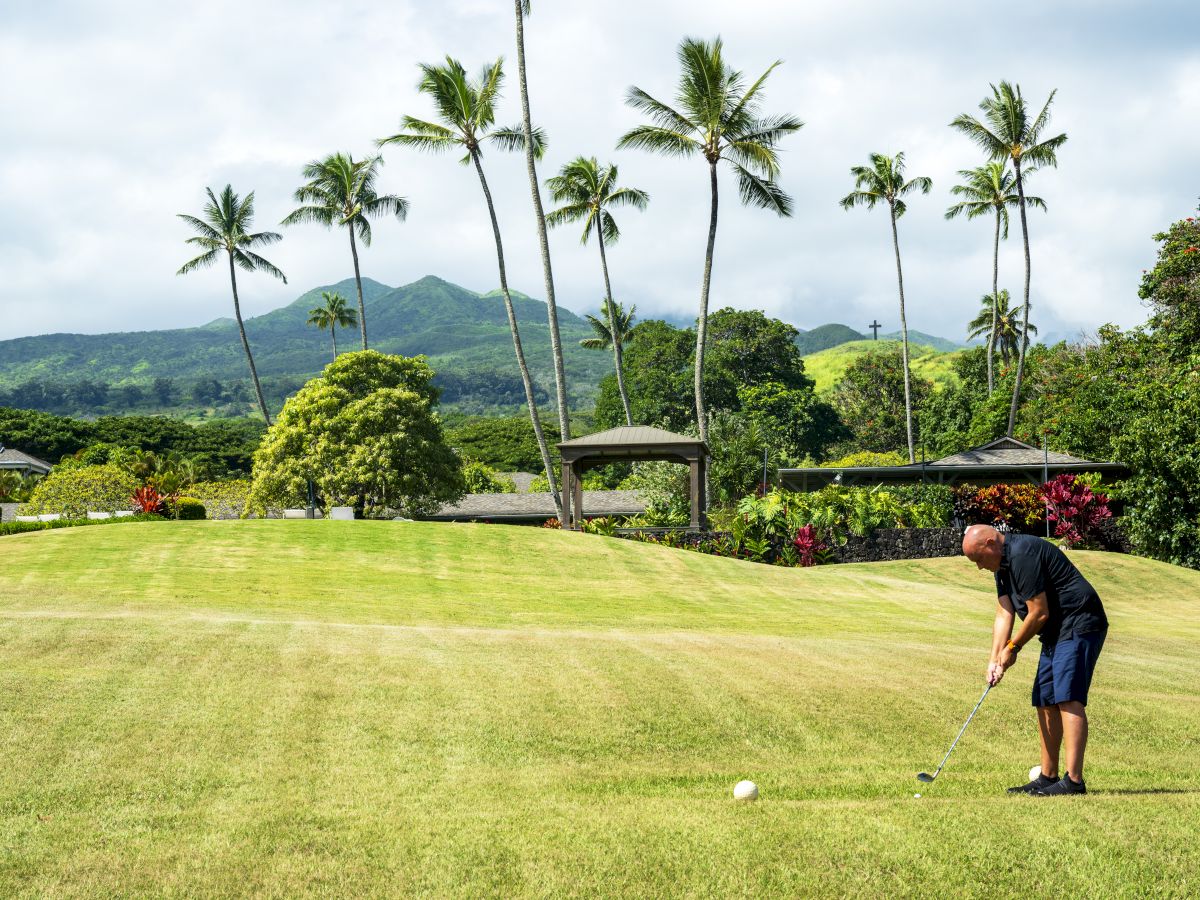 A person plays golf on a lush green course with palm trees and mountains in the background.