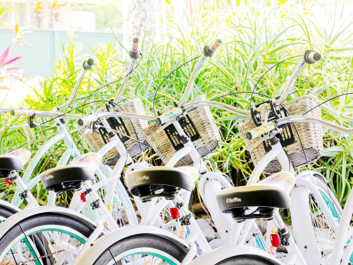 The image shows a row of white bicycles with baskets parked in front of tall green plants and flowers.