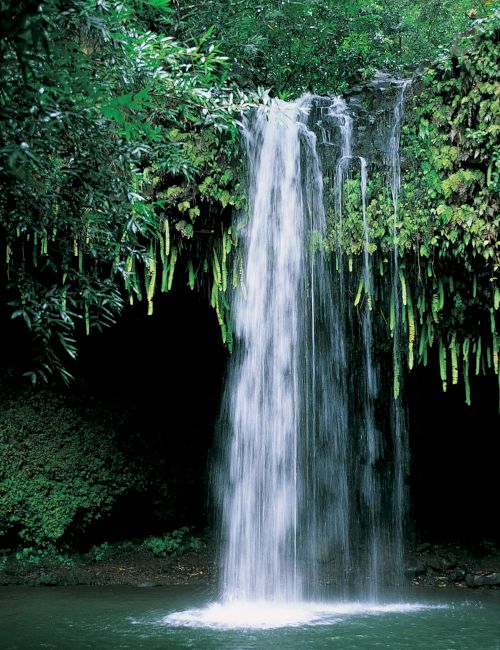 This image shows a waterfall cascading into a pool of water, surrounded by lush green vegetation in a natural setting.