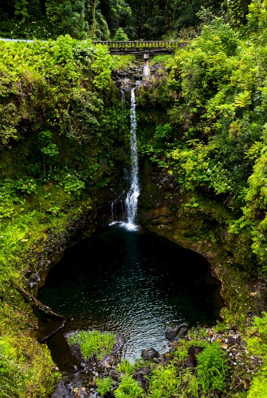 A scenic view of a waterfall cascading into a circular pool surrounded by lush greenery, with a bridge visible at the top of the image.