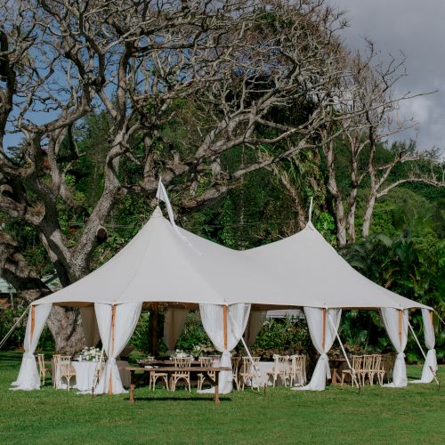 A decorated white tent is set up outdoors on grass with a large bare tree in the background and dining tables arranged inside the tent.