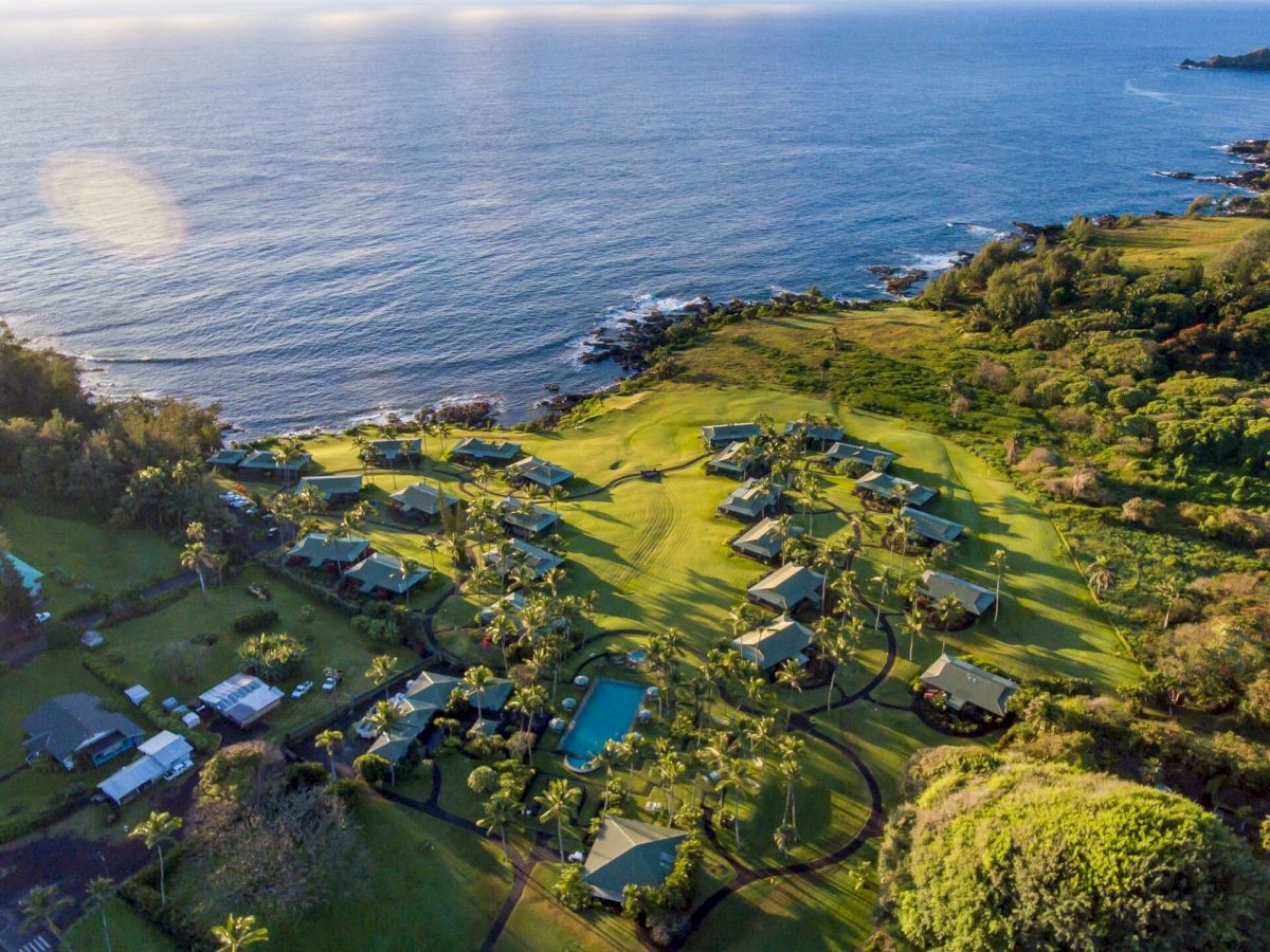 This image shows an aerial view of a coastal area with houses, lush greenery, and the ocean, possibly a seaside village or resort area.