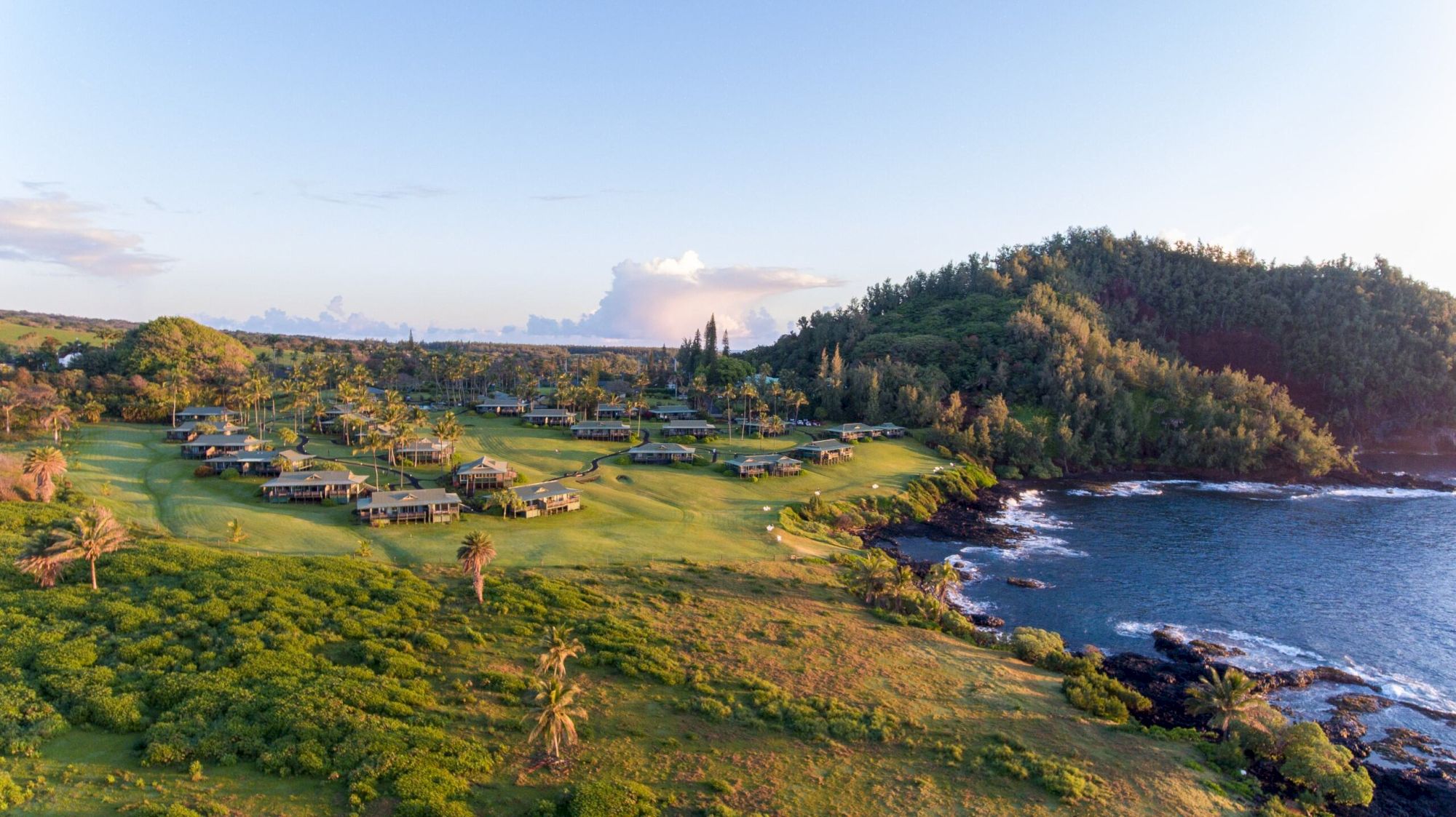 The image shows a coastal landscape with green fields, several buildings, and a hillside covered in trees, next to a body of water.