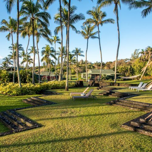 A tropical garden with tall palm trees, lounge chairs, and lush green grass on a sunny day, surrounded by small pathways and landscaped areas.