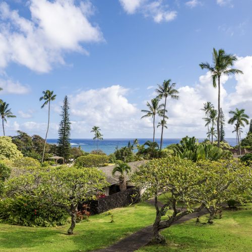 A tropical landscape with palm trees, lush greenery, and an ocean view under a partly cloudy sky.