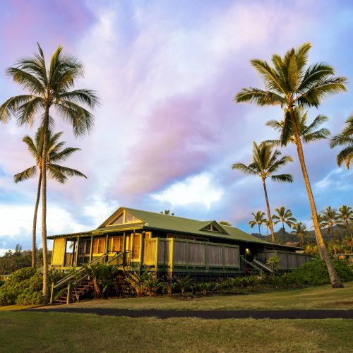 A tropical house surrounded by tall palm trees under a vibrant, colorful sky.