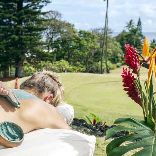 Person receiving a back massage outdoors with green paste, surrounded by tropical plants, lush trees, and a scenic view.