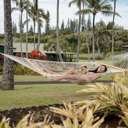 A person relaxes on a hammock in a tropical setting with palm trees, greenery, and a few buildings in the background.