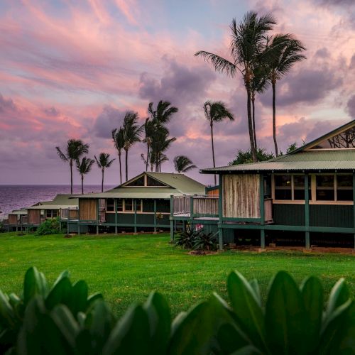 A row of beach cottages with palm trees in the background, facing the ocean during a colorful sunset, with green grass and foliage in the foreground.