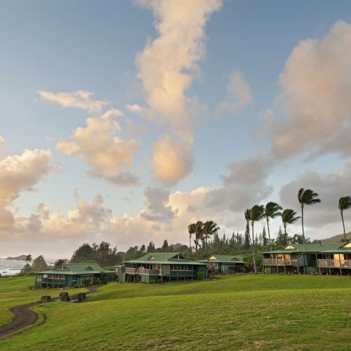 Image of a coastal resort with green lawns, palm trees, residential buildings, and a cloudy sky in the background.