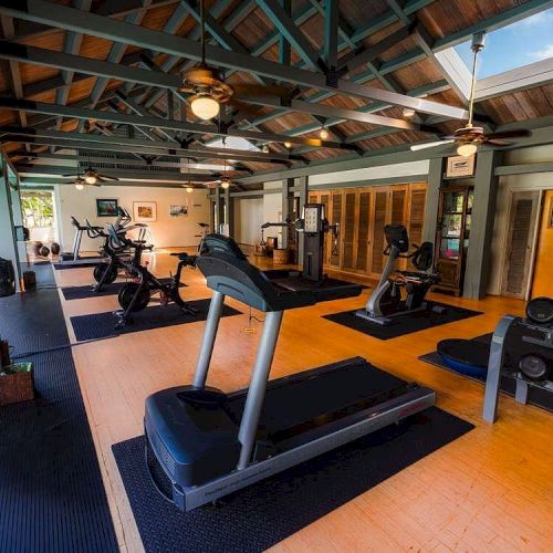 A well-equipped gym with treadmills, stationary bikes, elliptical machines, weight racks, and ample natural light from skylights and large windows.