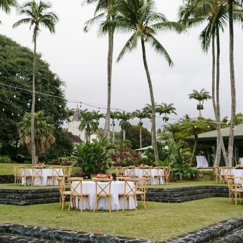 The image shows an outdoor event setup with round tables and chairs under tall palm trees, surrounded by greenery, likely for a wedding or gathering.