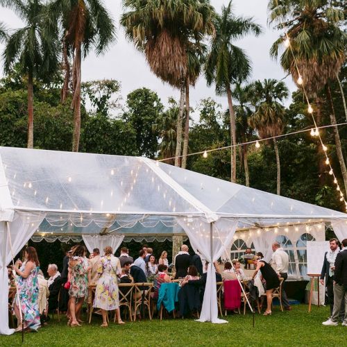 The image shows a garden party or event under a large clear tent with string lights, attended by people in formal attire amidst tall palm trees.