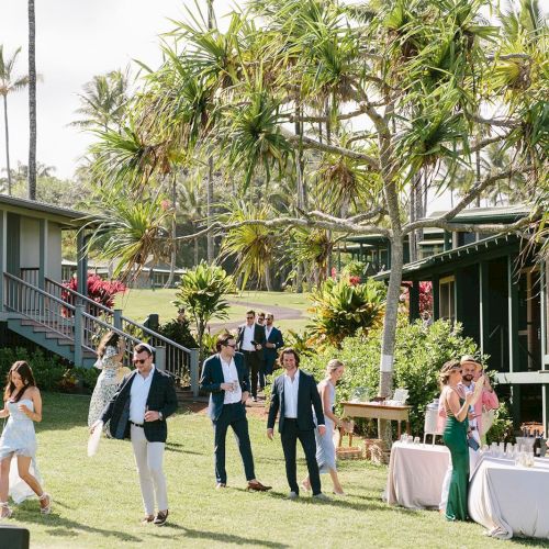 People in formal attire socialize outdoors near wooden buildings and palm trees; a table with drinks is set up. The setting is sunny and lush.