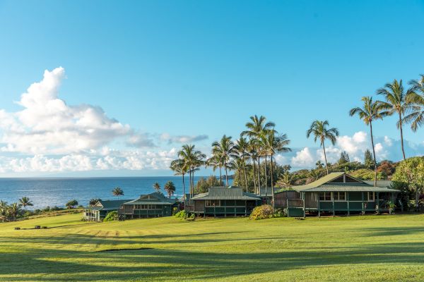 A scenic view of a coastal area with lush green grass, palm trees, and several houses, with the ocean and a blue sky in the background.