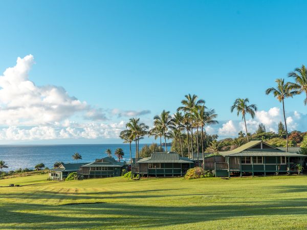 A scenic view of a coastal area with lush green grass, palm trees, and several houses, with the ocean and a blue sky in the background.