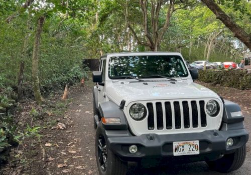 A white Jeep is parked on a narrow, tree-lined dirt road. Other cars are visible in the background.