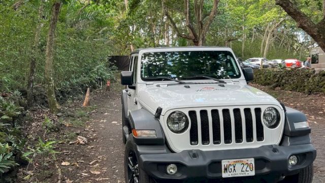 A white Jeep is parked on a narrow, tree-lined dirt road. Other cars are visible in the background.