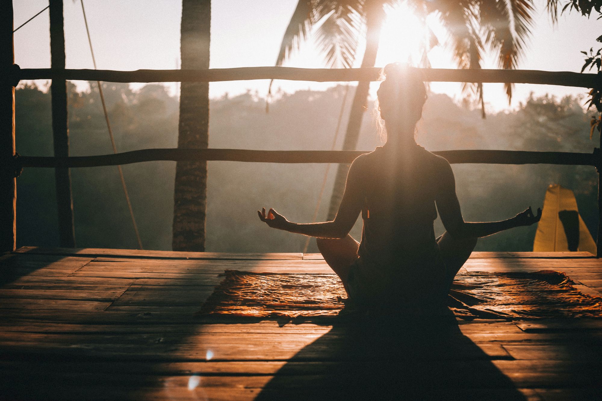 A person is meditating on a wooden deck during sunrise, surrounded by palm trees, creating a peaceful and serene atmosphere.