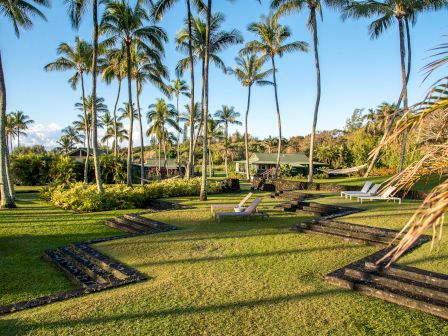 A tropical garden with palm trees, neatly trimmed grass, and pathways surrounded by lush greenery and lounge chairs under the sunny sky.