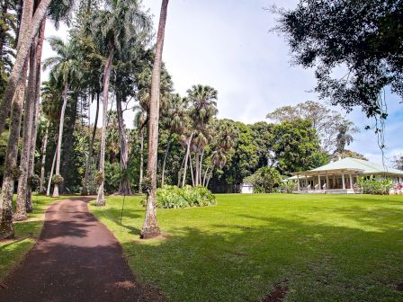 A lush garden scene features tall palm trees, a path, and a white gazebo structure surrounded by greenery.