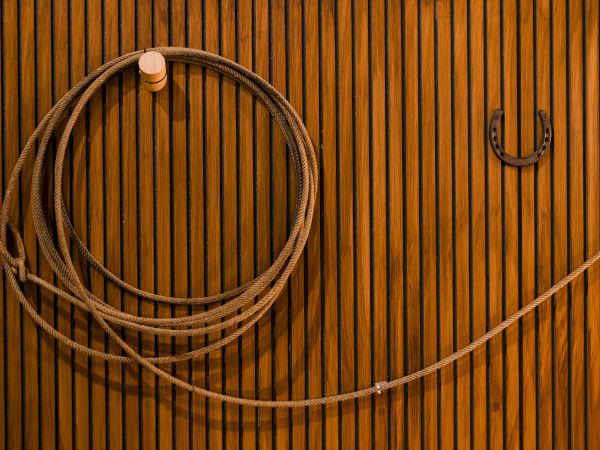 A wooden wall with a curved rope and an old iron horseshoe-shaped hook, with a wooden knob on top.